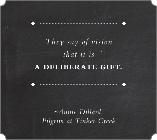 Vision is a Deliberate Gift